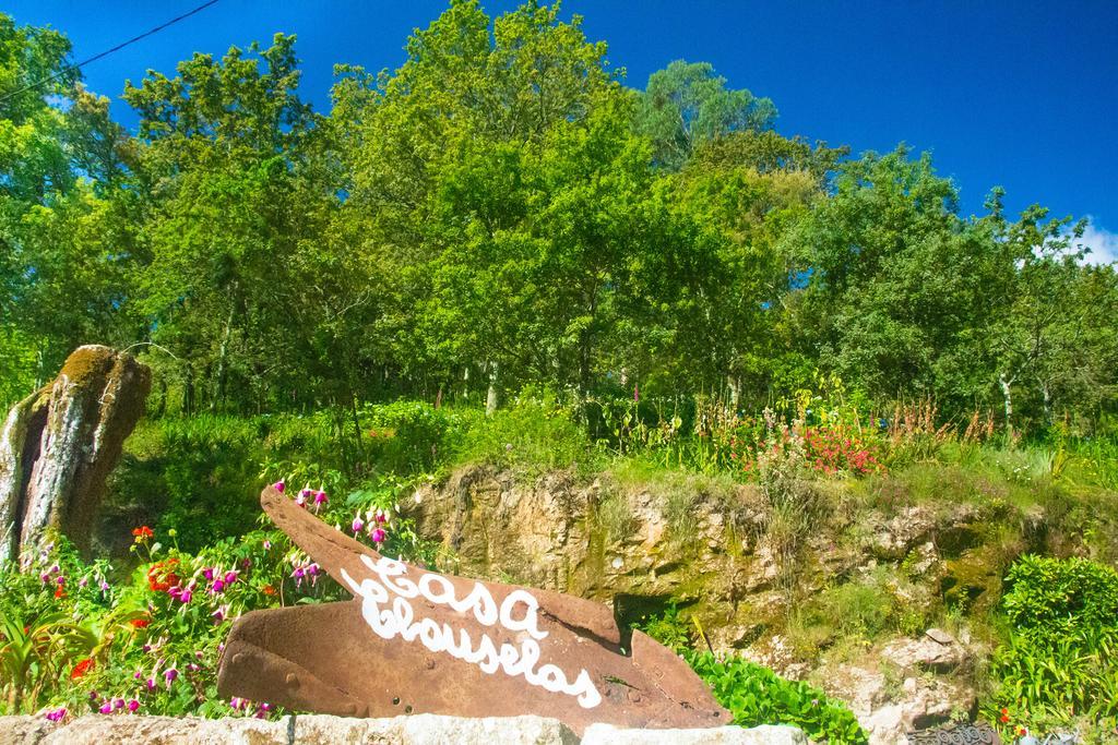 Casa De Chouselas Vilela  ภายนอก รูปภาพ